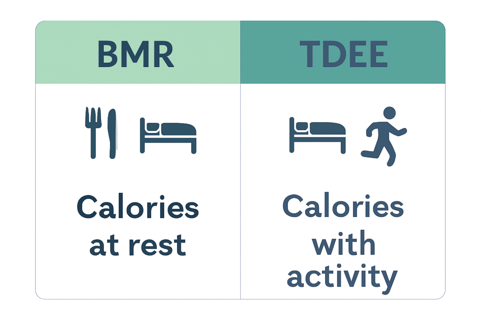 BMR vs TDEE