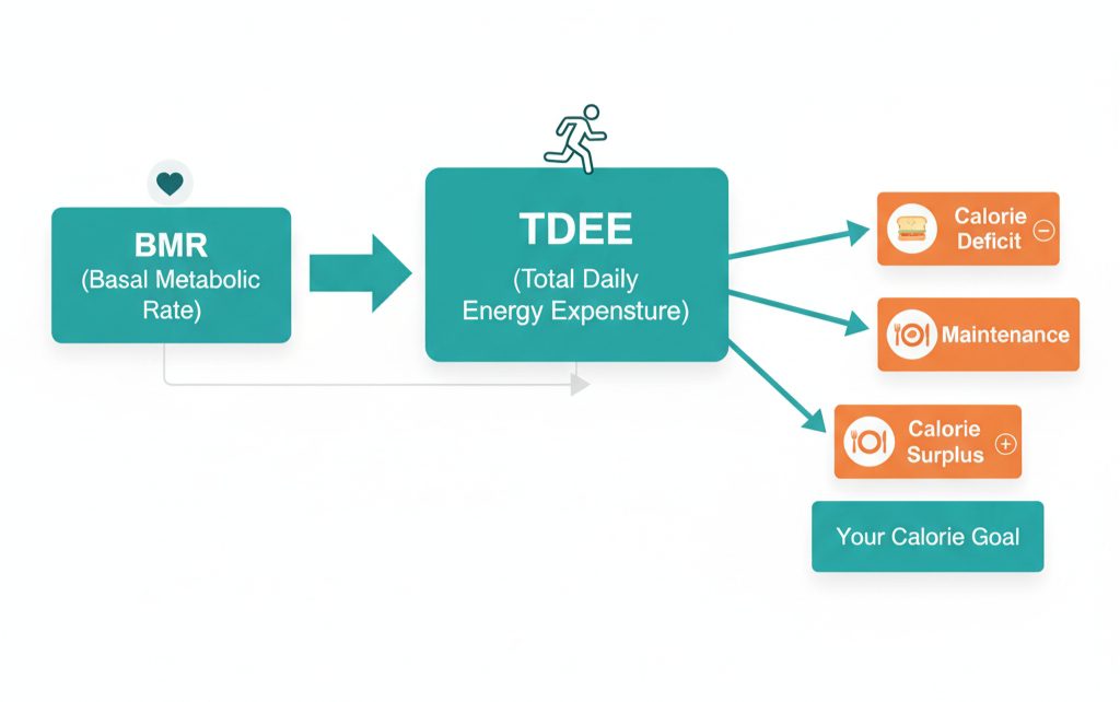 Example daily meal split