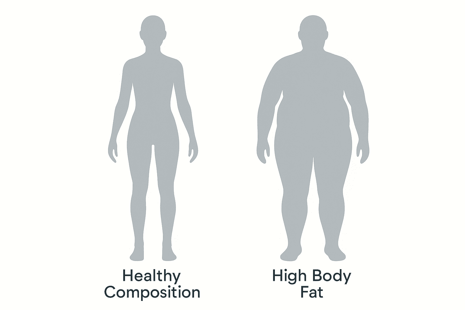 Body composition comparison of lean mass and fat mass