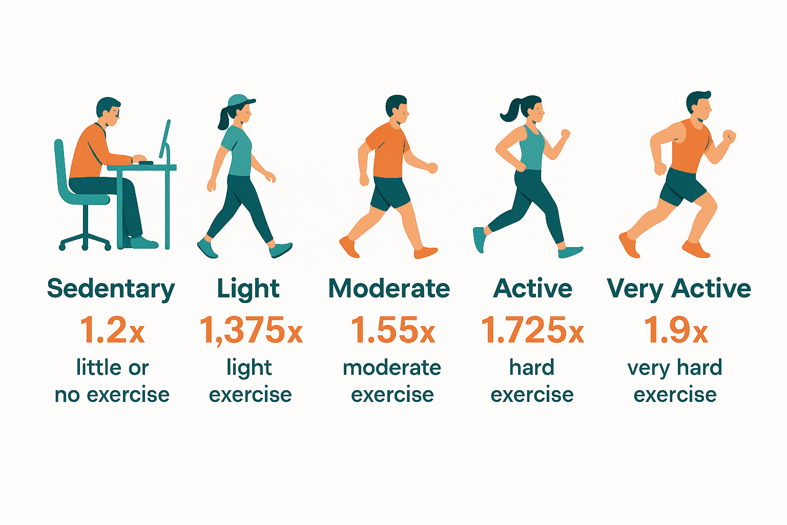 Activity factors for TDEE