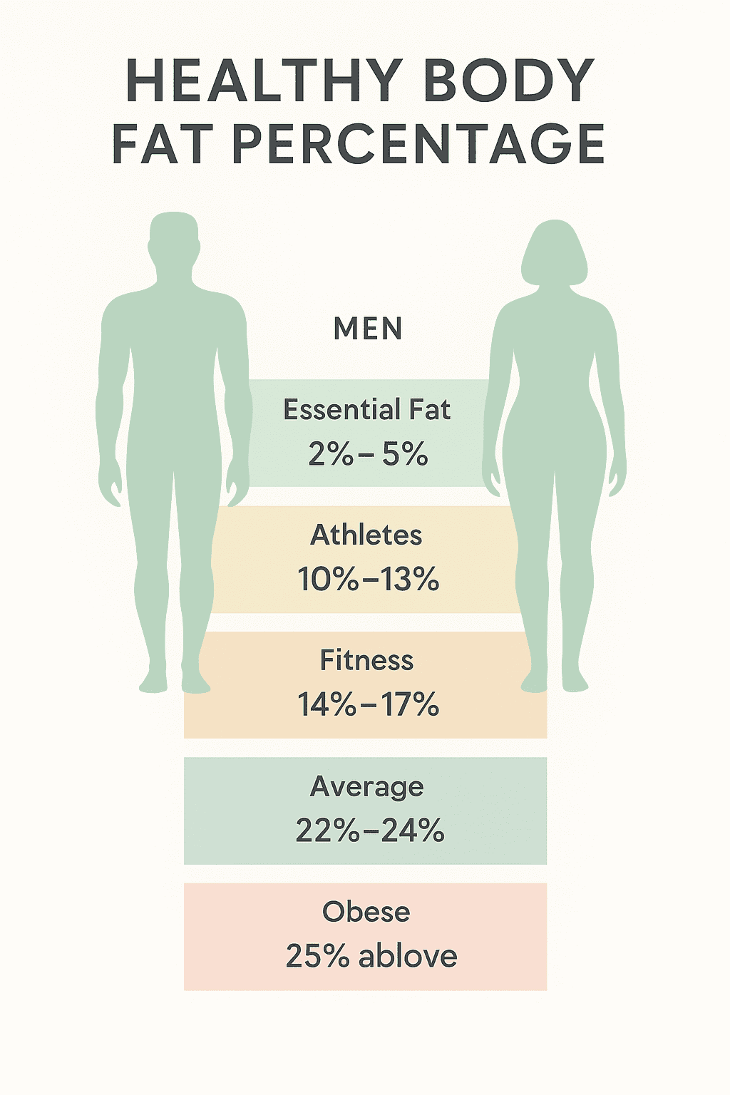 Illustration of body fat assessment and composition